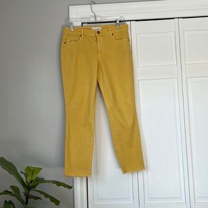 Loft Curvy Yellow Pants